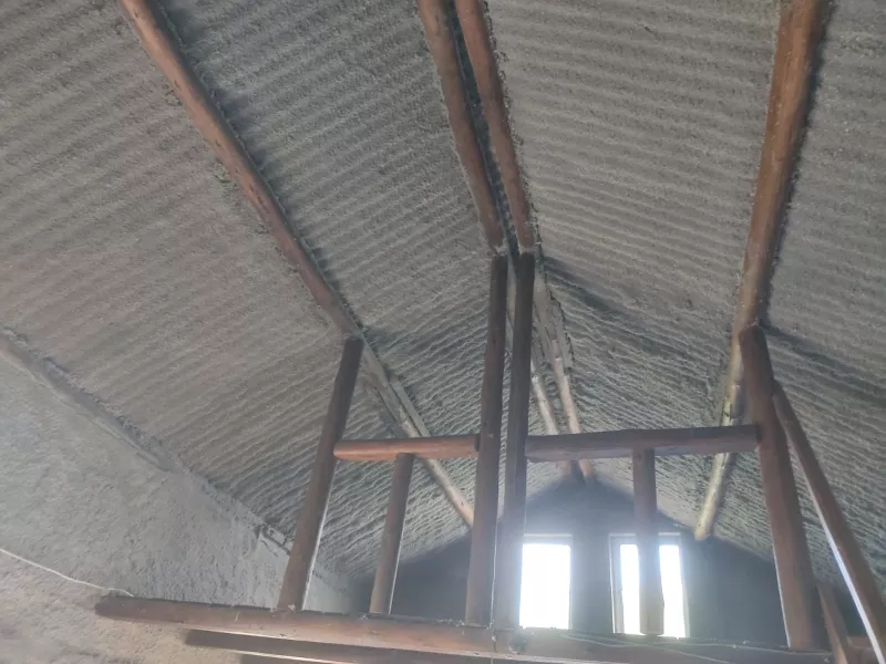 terminacion completa celulosa proyectada