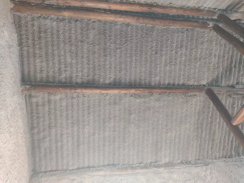 terminacion en techo Celuloa proyectada